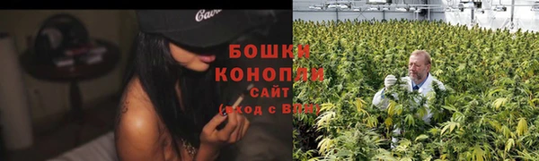 МДПВ Богородицк