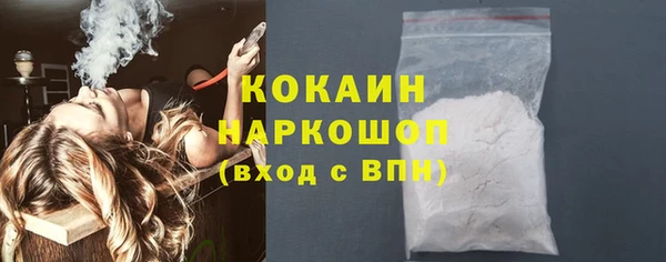 гидра Медвежьегорск
