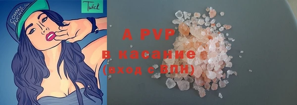 ГАЛЛЮЦИНОГЕННЫЕ ГРИБЫ Белокуриха
