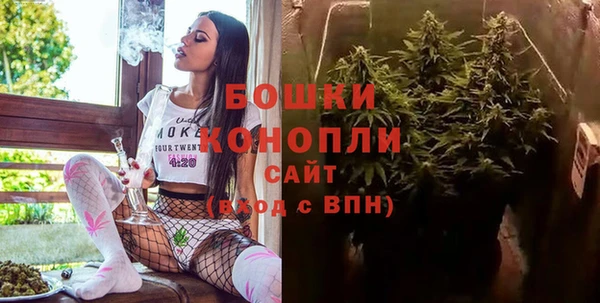 мдпв Богородск