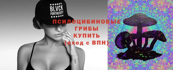 ГАЛЛЮЦИНОГЕННЫЕ ГРИБЫ Белокуриха