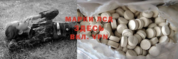 ГАЛЛЮЦИНОГЕННЫЕ ГРИБЫ Белокуриха