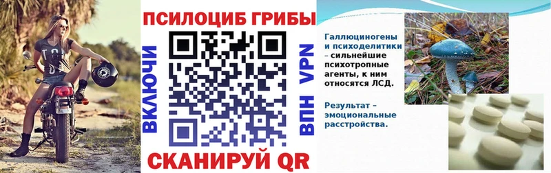 как найти закладки  Боровск  Псилоцибиновые грибы MAGIC MUSHROOMS 